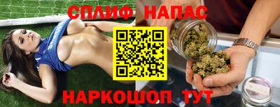 амф Гусев