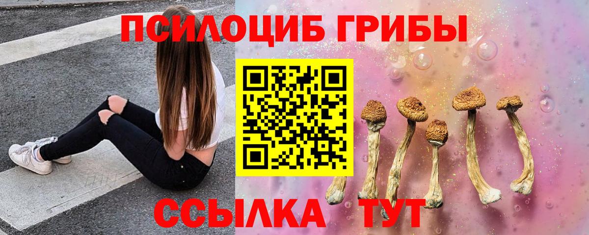 Галлюциногенные грибы Magic Shrooms  Вход с VPN  Мичуринск  Галлюциногенные грибы прущие грибы 